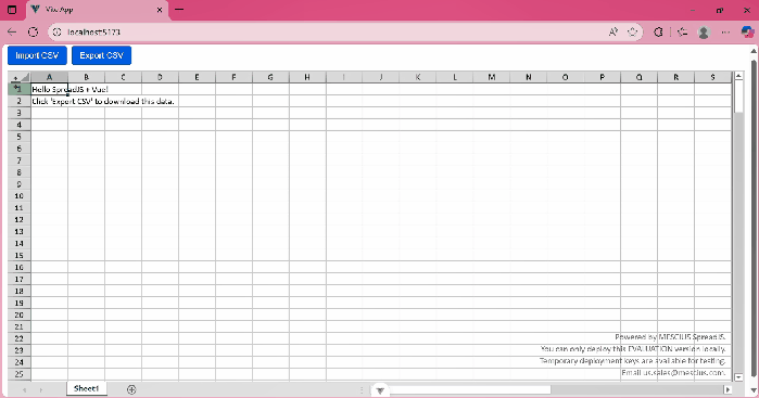 Imported CSV to Vue Spreadsheet Application