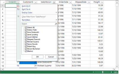 Custom Filtering in .NET Workbooks