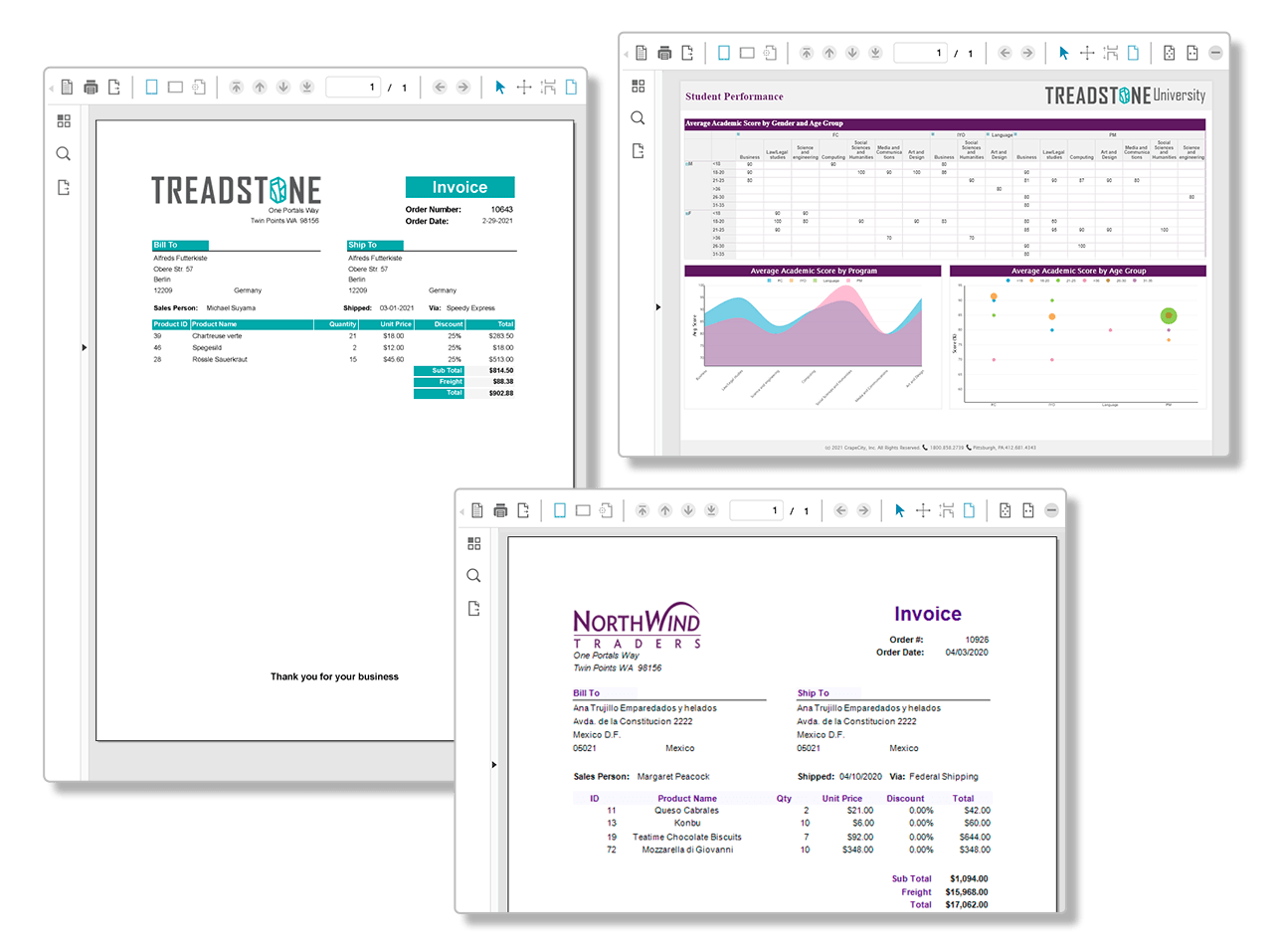 JavaScript Report Viewer