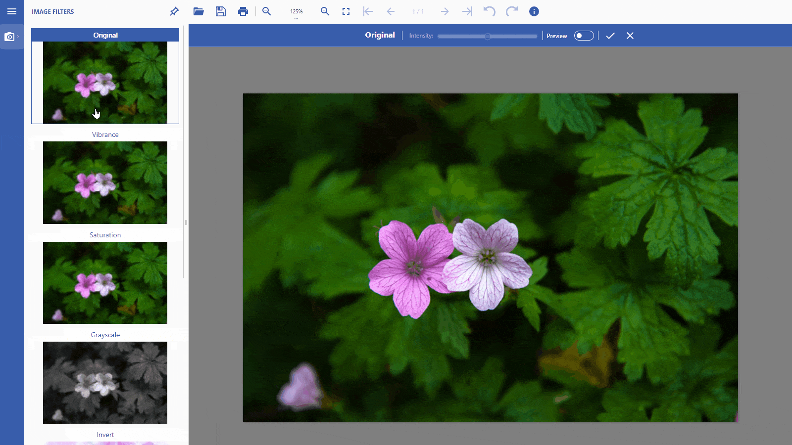 Apply Image Filters - JavaScript Image Viewer/Editor