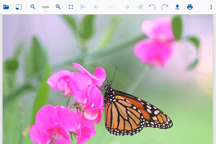 GrapeCity Documents JavaScript Image Viewer and Editor
