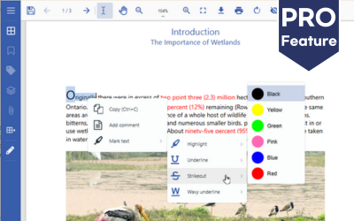 Allow users to apply Text mark Up to PDFs in Web Applications | JS PDF Viewer Developer Solutions