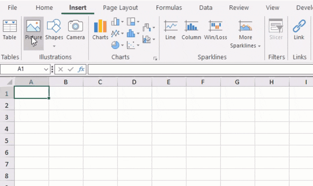Insert picture in .NET spreadsheet cell using Ribbon Control
