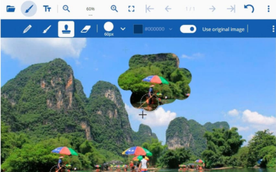 Clone Stamp tool that lets users copy pixels from one part of an image and paint them into another