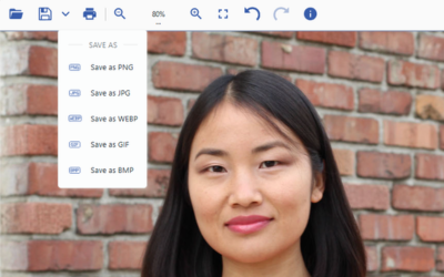 Save to Different Image Formats in JS Image Viewer UI