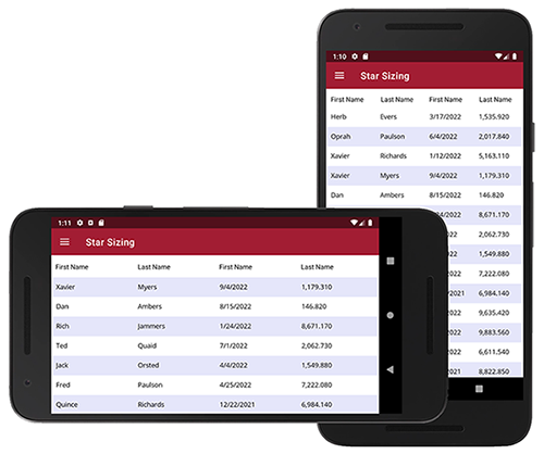 .NET DataGrid Responsive Column Sizing