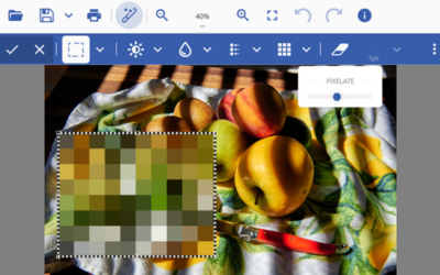  Let users blur or pixelate images directly in the browser | Developer Solution