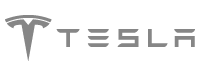Mescius Tesla Logo