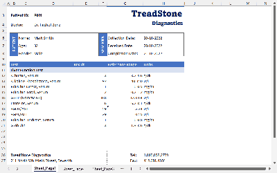 Generate Paginated .xlsx Reports using a .NET Excel API Library