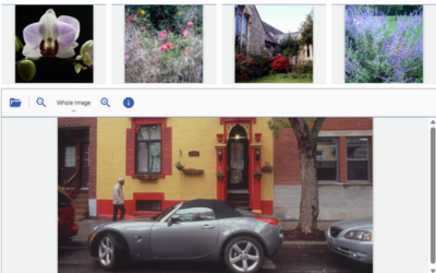 Embed and manage multiple JavaScript image viewer instances within a single web page