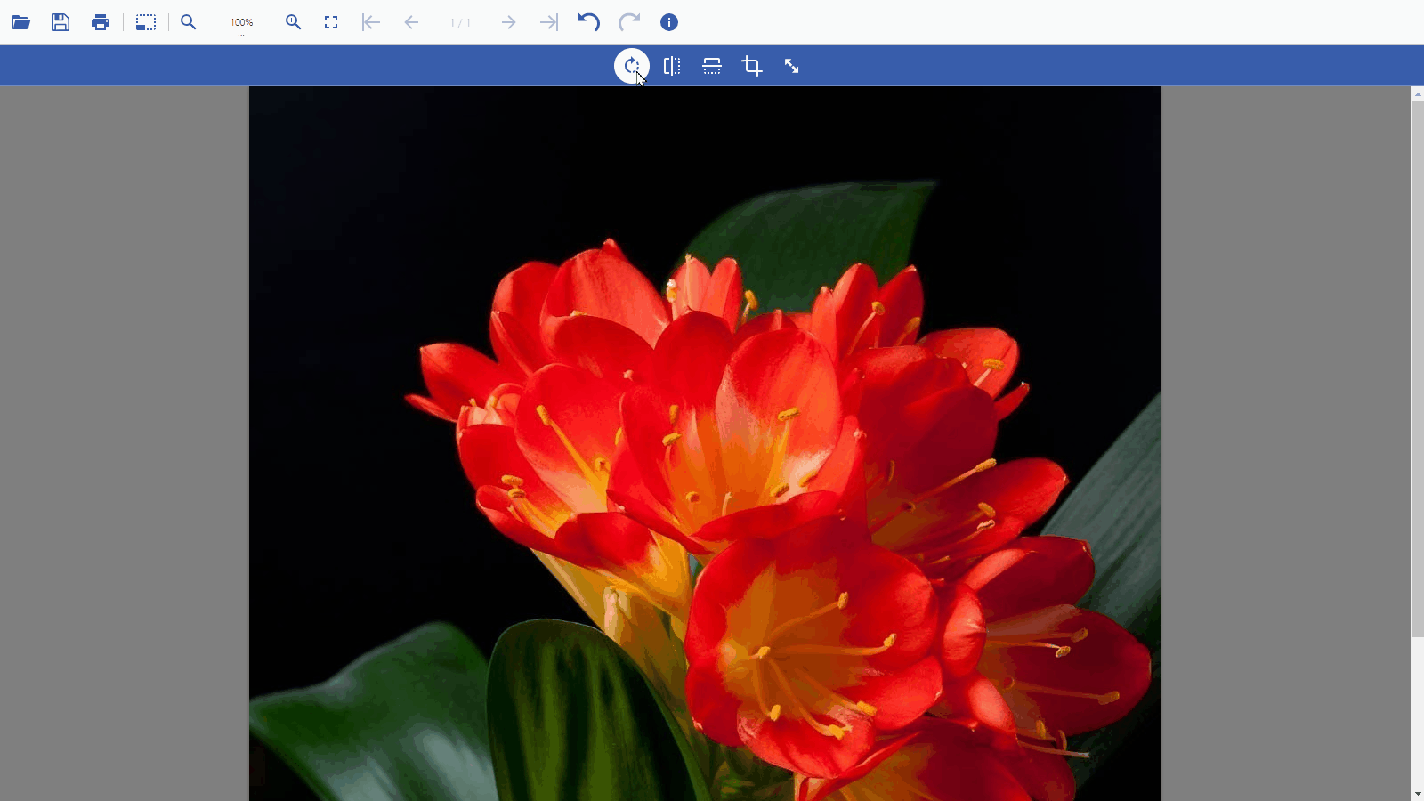 Load and Rotate Images using the DsImageViewer