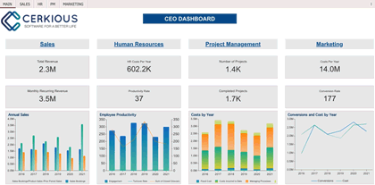 CEO Business Intelligence Dashboard