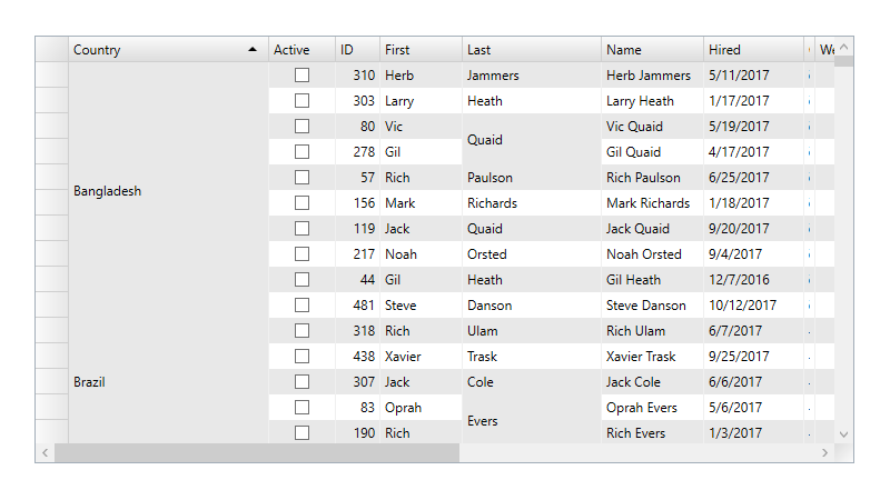 .NET DataGrid Cell Merging