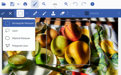 Allow users to select regions of images for editing in JavaScript apps