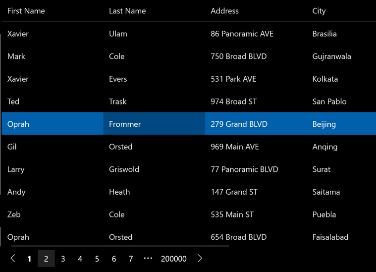 .NET DataGrid Paging