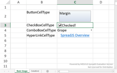 JavaScript Spreadsheet Cell Types