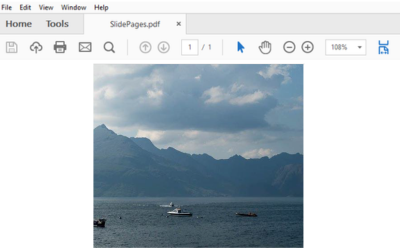 Programmatically insert images into PDF documents using this JavaScript PDF API