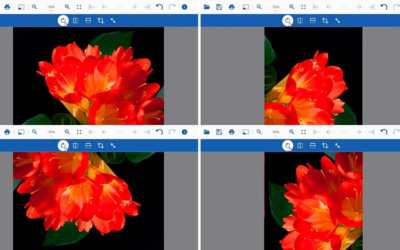Allowing users to quickly rotate images or mirror them horizontally and vertically