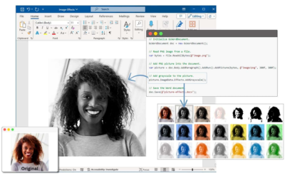 Add Images and Pictures to DOCX Files in .NET Applications