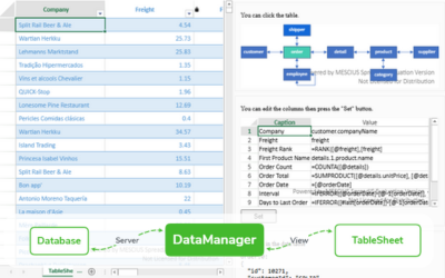 Data Manager