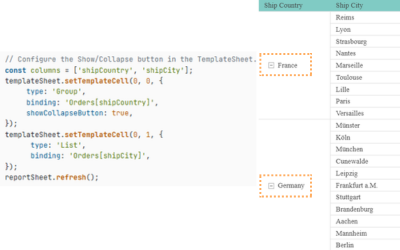 Add interactive Show/Collapse Buttons to JavaScript Reports