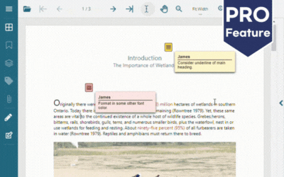 Add PDF Reply to Comment Capabilities to Enterprise Web Applications