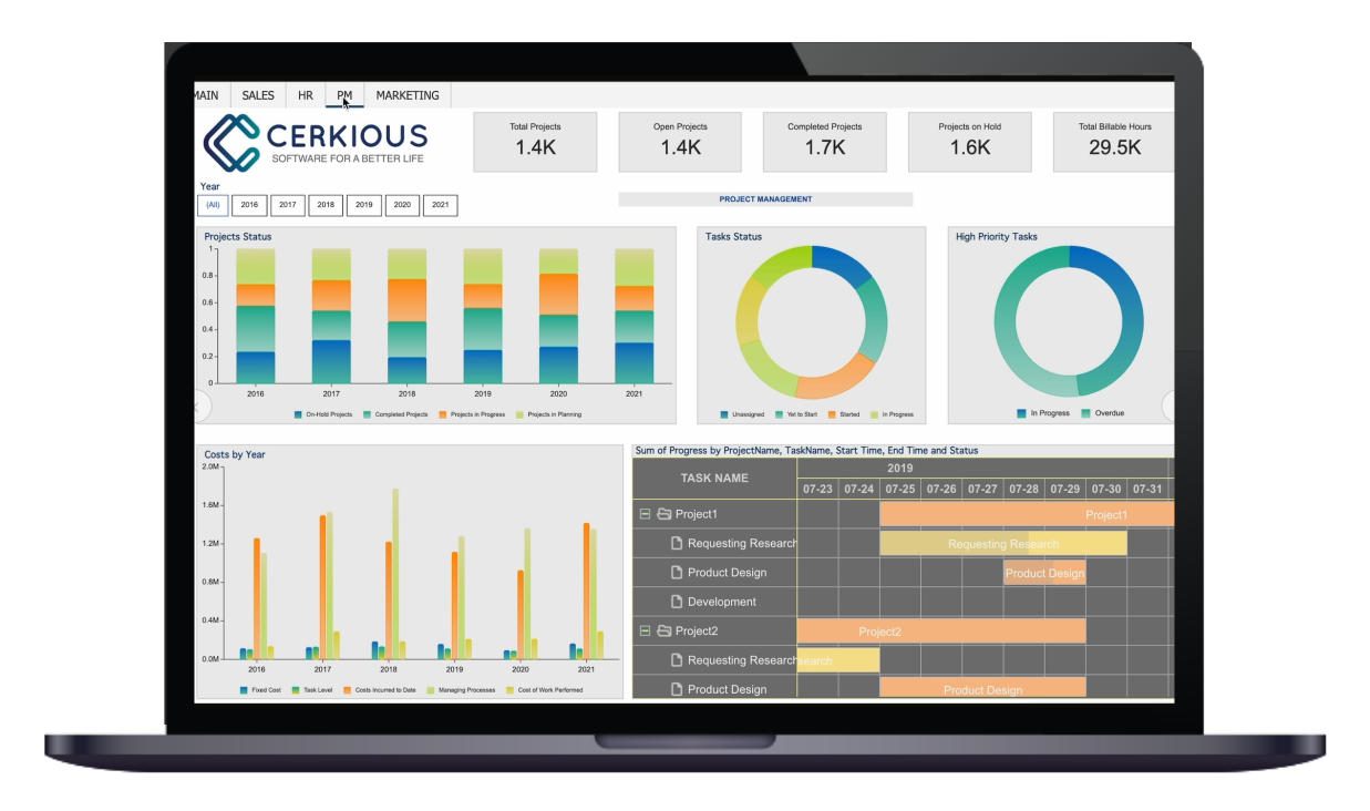 CEO Project Management BI Dashboard