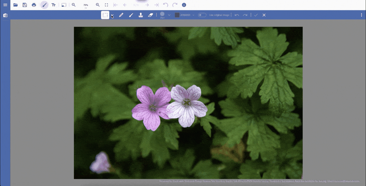 Select, cut, copy, and paste areas of images using a JS Image Viewer Control