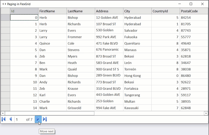 WinForms DataGrid Paging