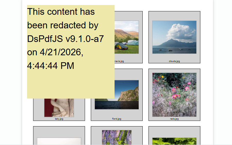 Apply Redactions to PDFs in Browser Web Applications using a JS PDF API Library