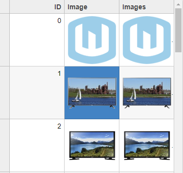 Pasting Image into FlexGrid