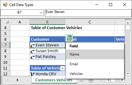 WinForms Spreadsheet Solution Cell Data Types Custom Objects