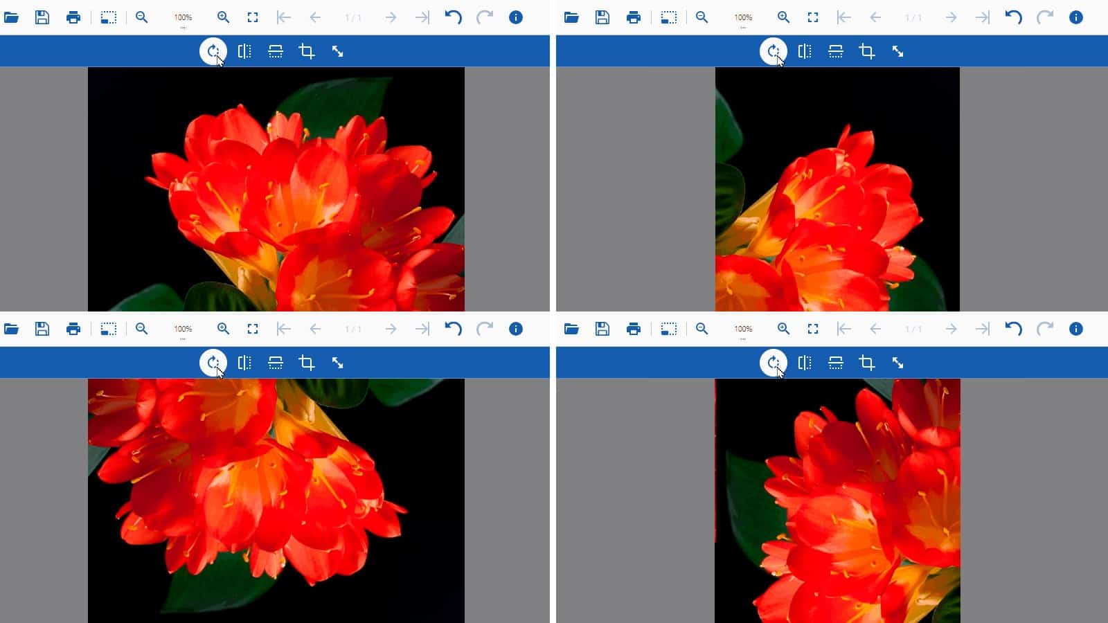 Load and Rotate Images using the DsImageViewer