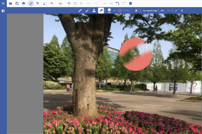 Paint Tools included in the JS Image Viewer