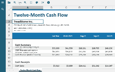 Allow JS Web App Users to Automatically Adjust the Size of Rows and Columns