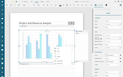 Standalone Report Designer