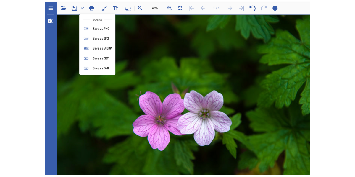 Allow users to convert images in JavaScript app with DsImageViewer