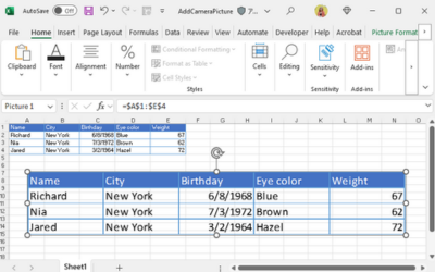  C# .NET Excel Linked Picture Example