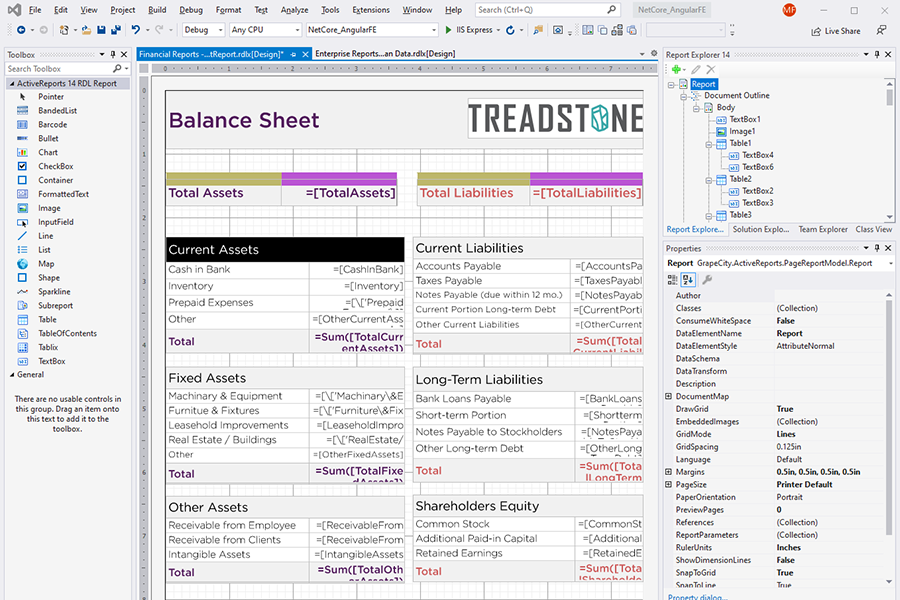 Visual Studio Integrated Report Designer