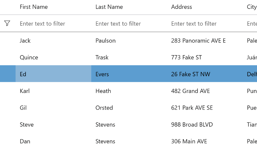 .NET DataGrid Filter Row