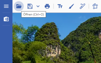 Enhance JavaScript Image Editor Control user experience for native users in different regions