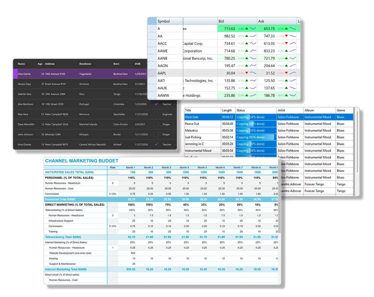 .NET Datagrid Control