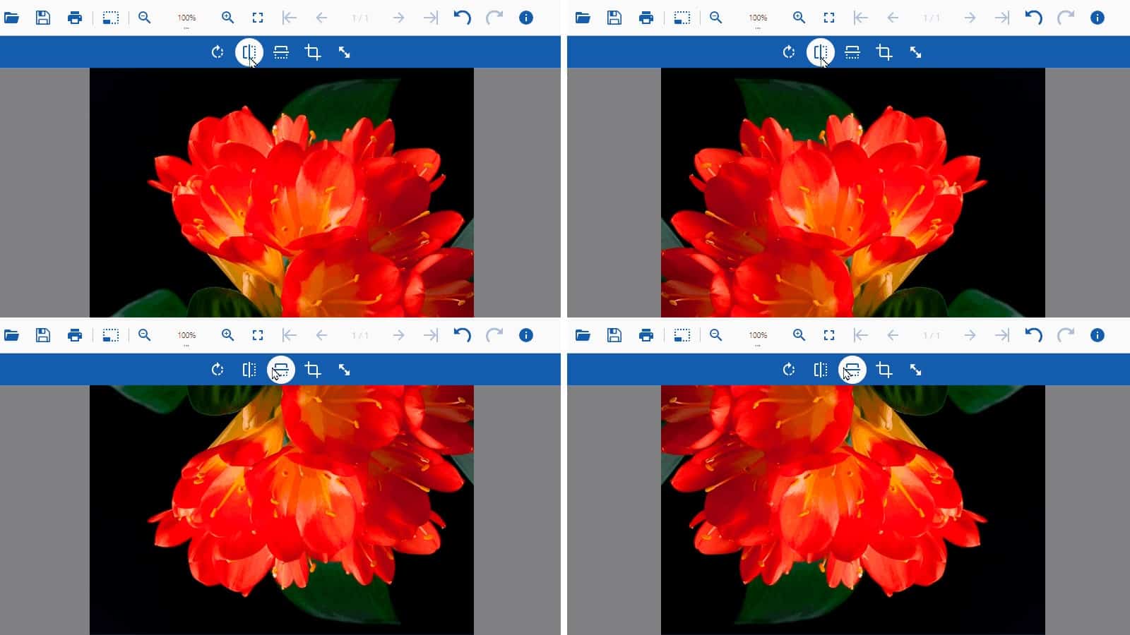 Load and Flip Images using the DsImageViewer