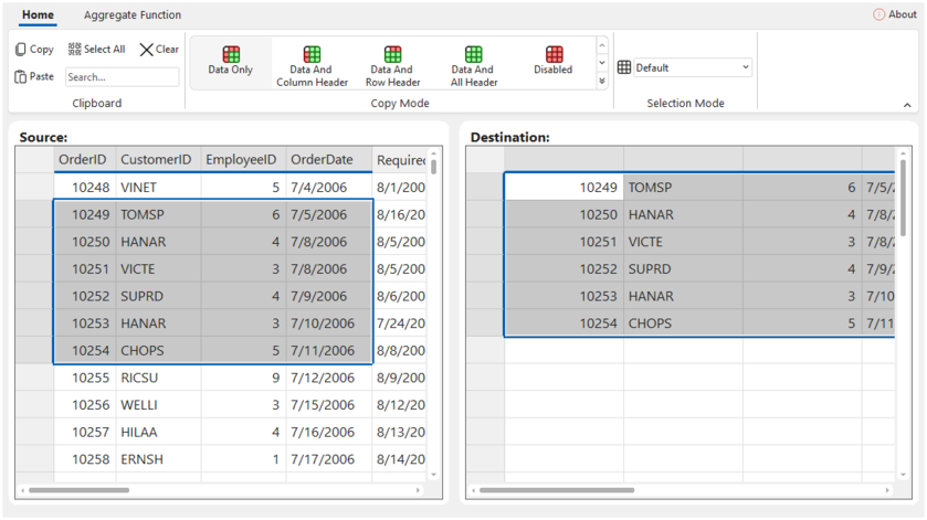 .NET DataGrid Clipboard