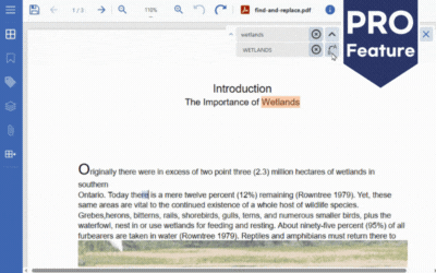 Allow users to Find and Replace PDF Text in JavaScript Enterprise Web Apps