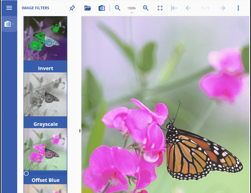 Apply Image Filters in JS Image Viewer