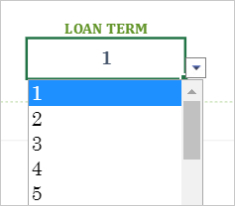 Loan Term