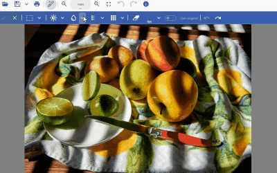 Full undo/redo system designed for interactive image editing in JavaScript | Developer Solution