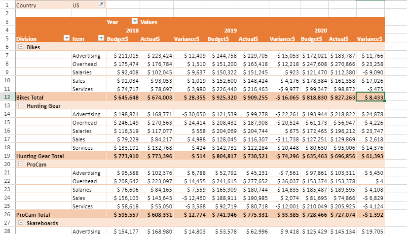 Budget Pivot Table