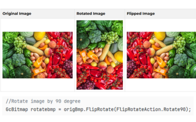 Programmatically Rotate and Flip images using a .NET API